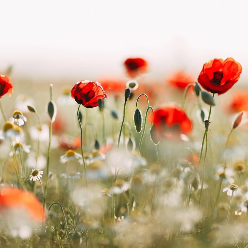 Meet your Posher, Kathryn
